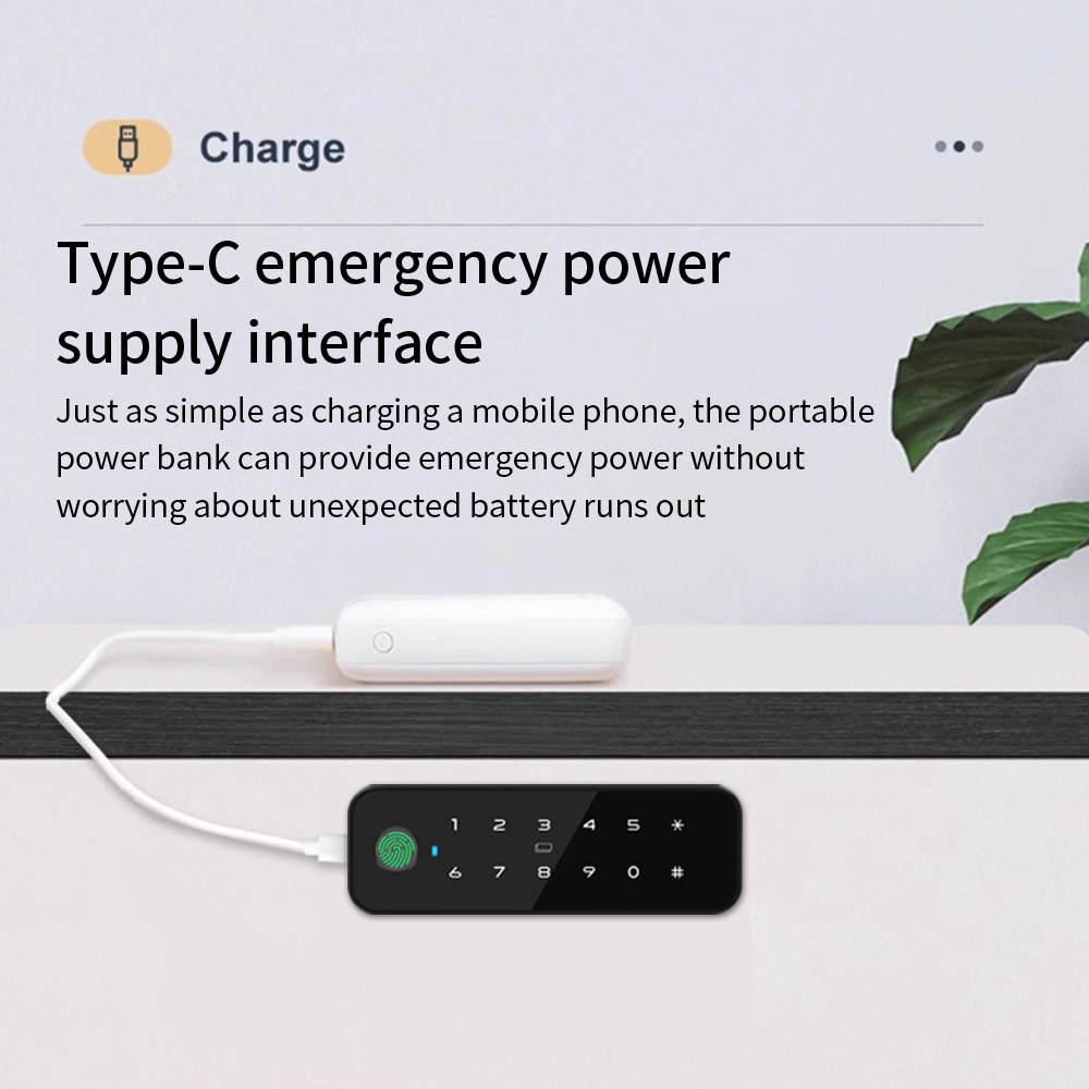 Tuya Bluetooth Inteligentna dr – Furniture Hardware Tools recenzja i cena