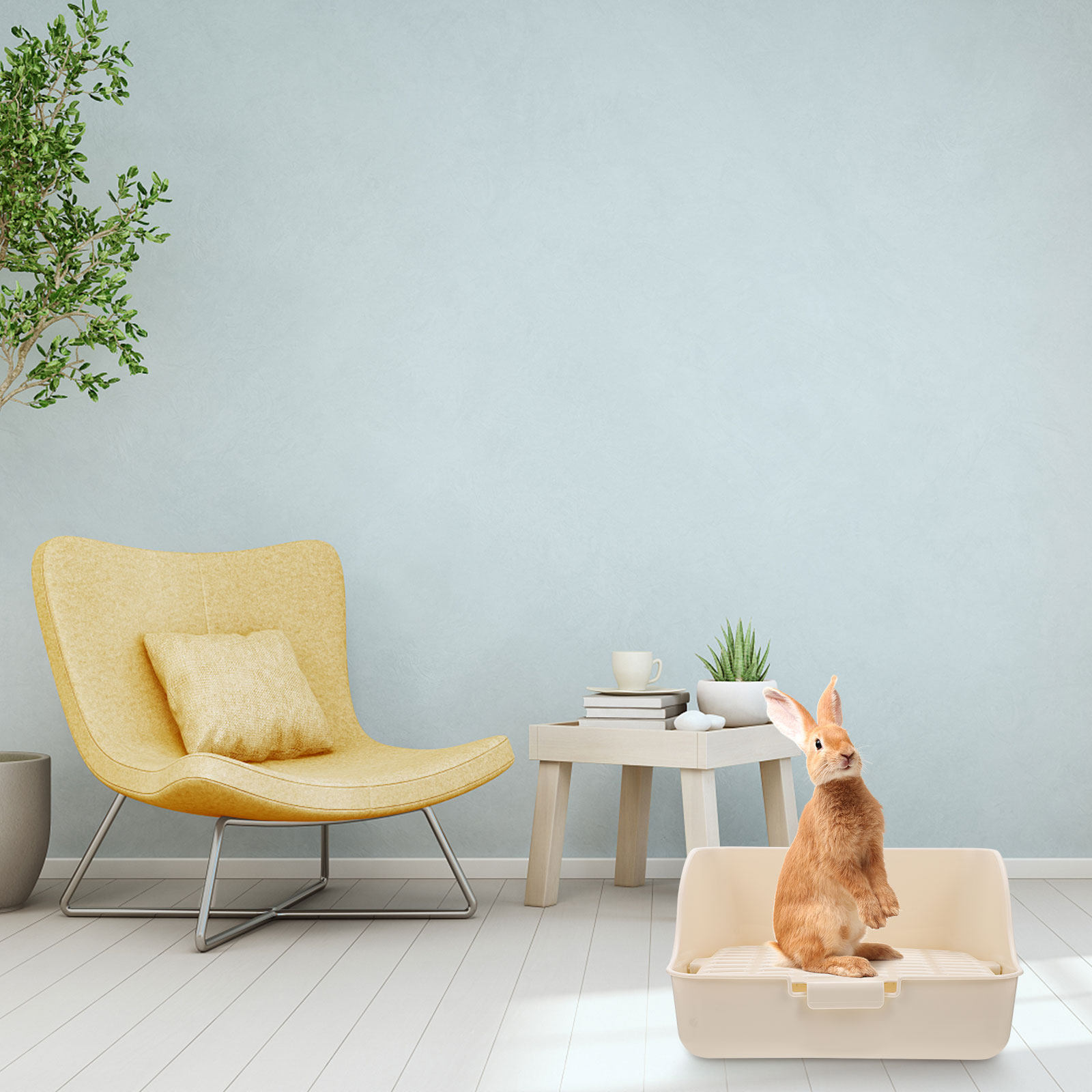 Mała toaleta dla zwierząt, wys – Furniture Quality Control recenzja i cena
